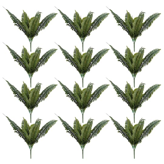 Pack: Boston Fern Bush by Ashland